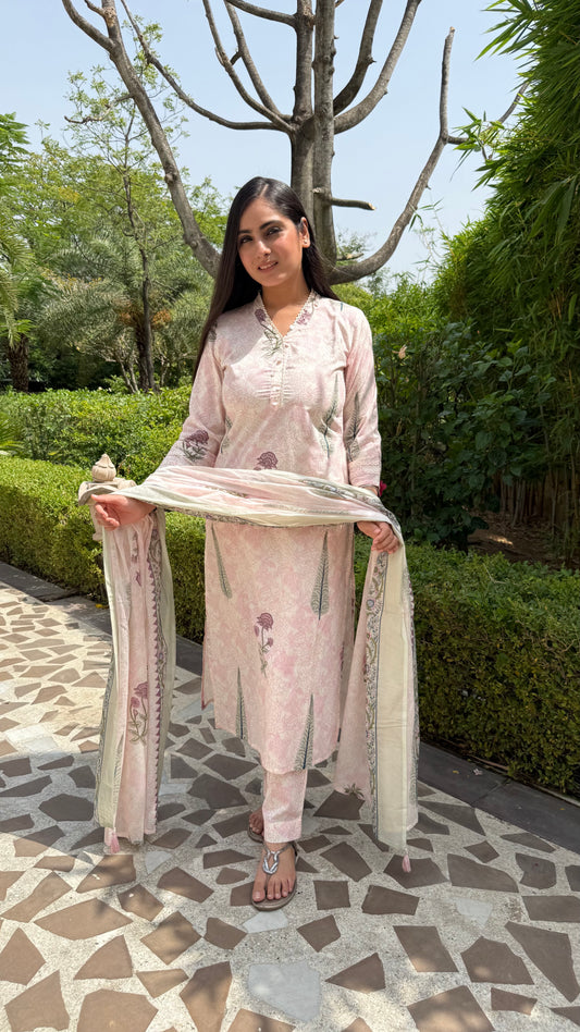 Gulnaaz Pastel Pink Suit