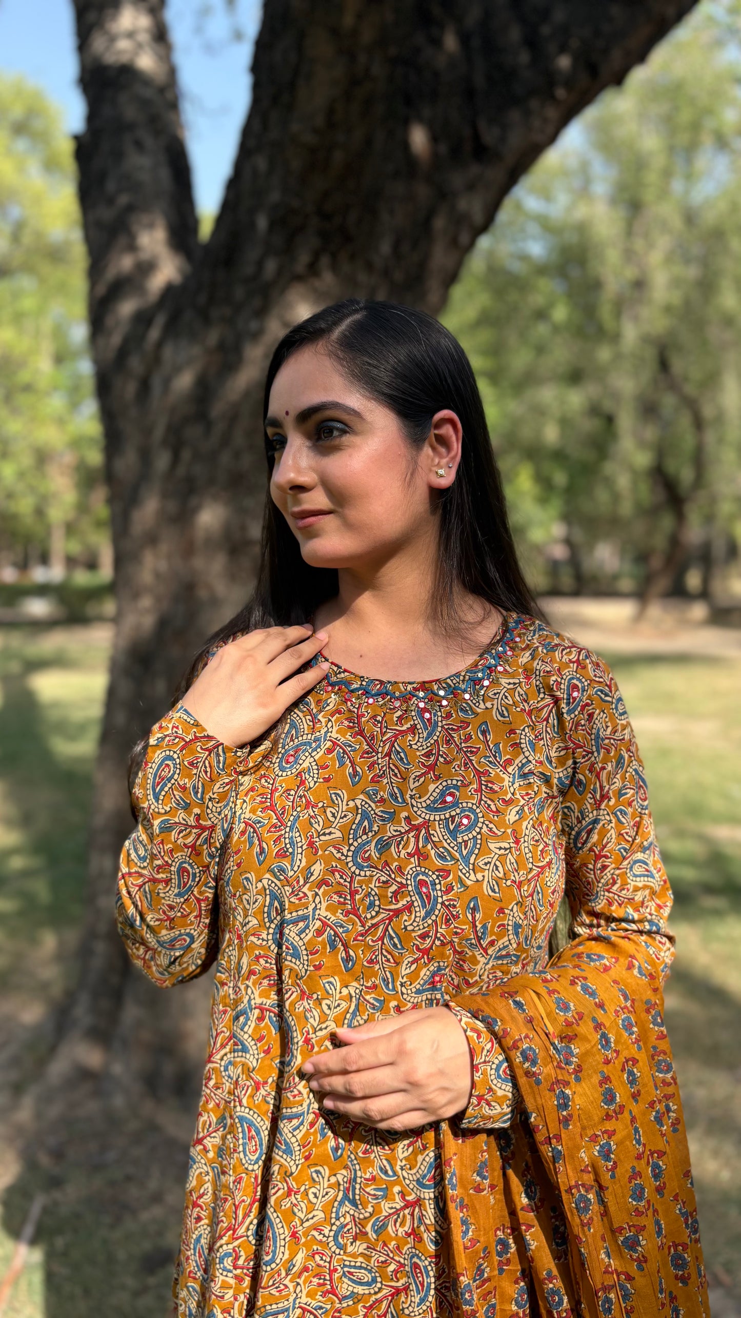 Saanya Kalamkari Anarkali Suit