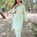 Sakshi Pastel Green Farsi Salwar Suit