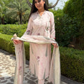 Gulnaaz Pastel Pink Suit