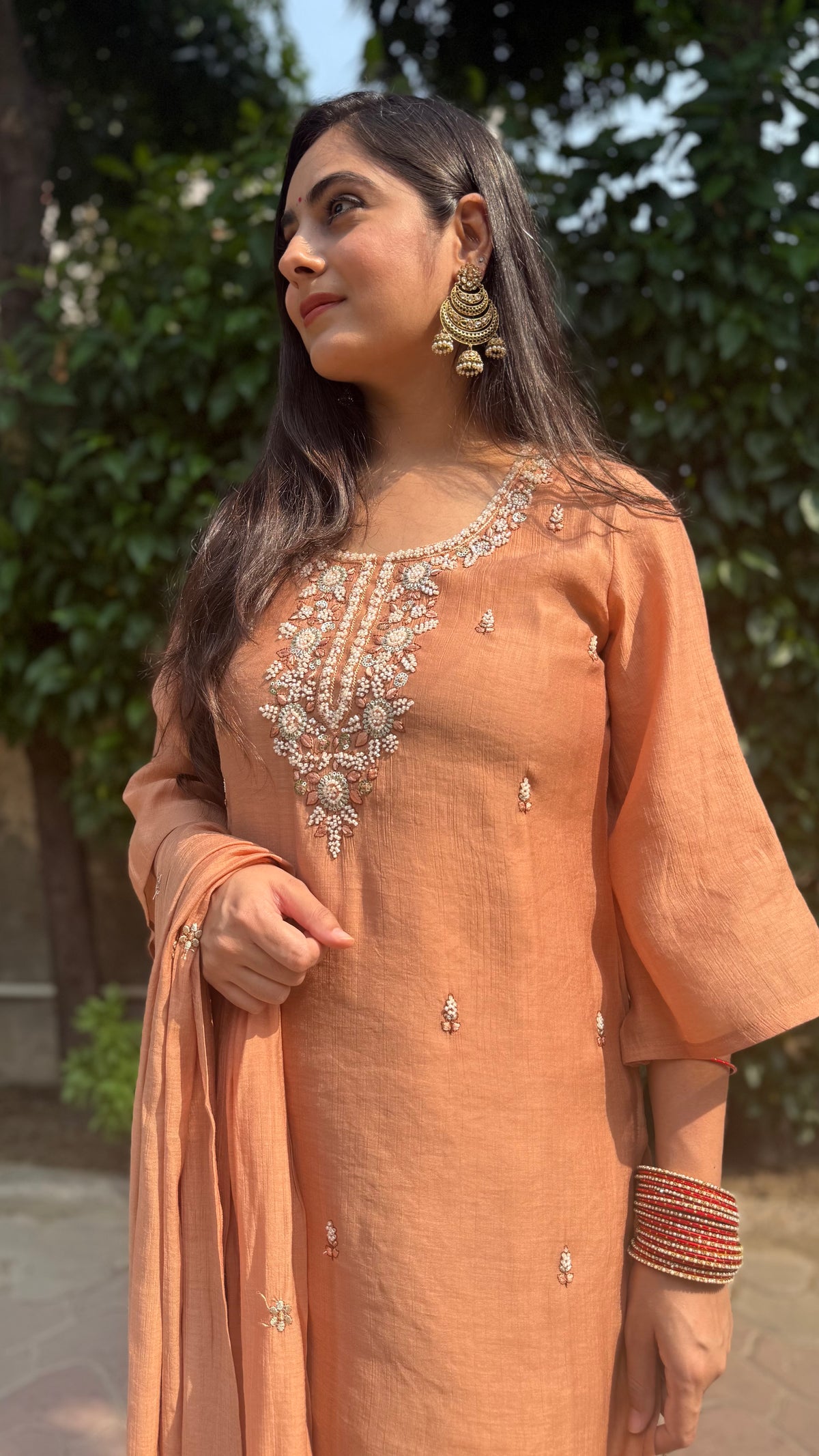 Avika Brown Embroidered Sharara Set