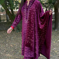 Pooja Plum Velvet Suit