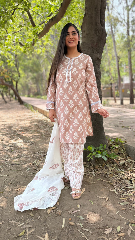 Nude Brown Salwar Suit