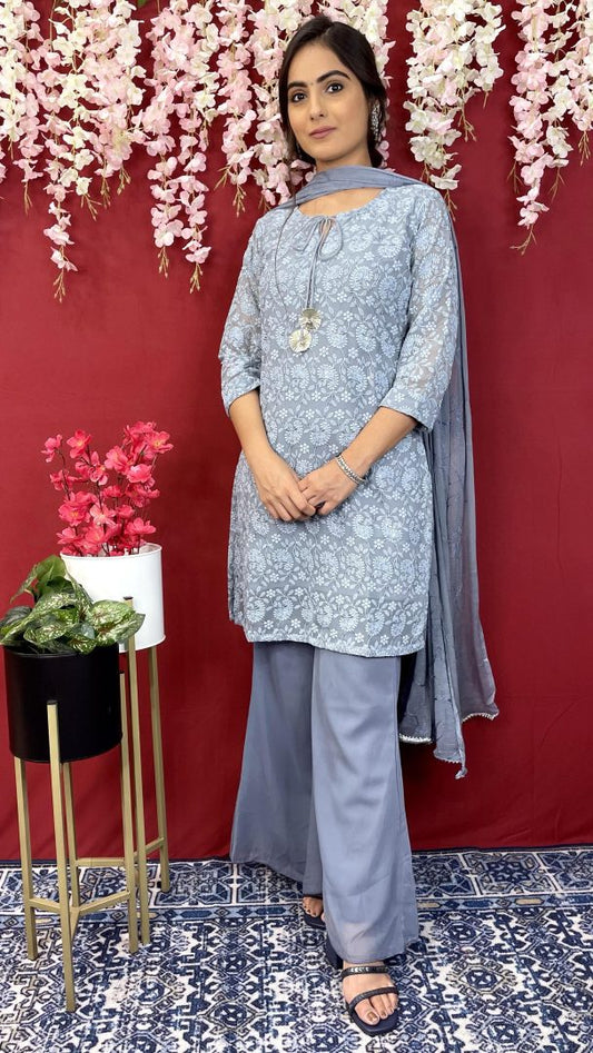 Grey Georgette Suit