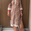 Sahiba Brown Embroidered Suit